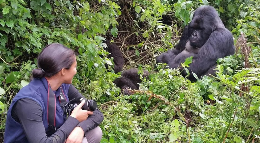 Updated Guide to Gorilla Trekking in Uganda with Best gorilla Tours