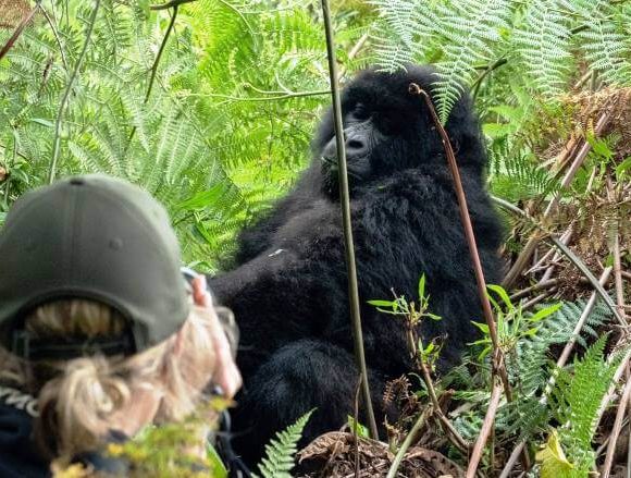 Bwindi Impenetrable National Park Animals