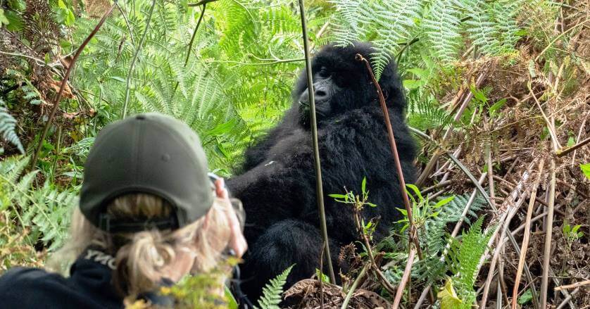 Bwindi Impenetrable National Park Animals