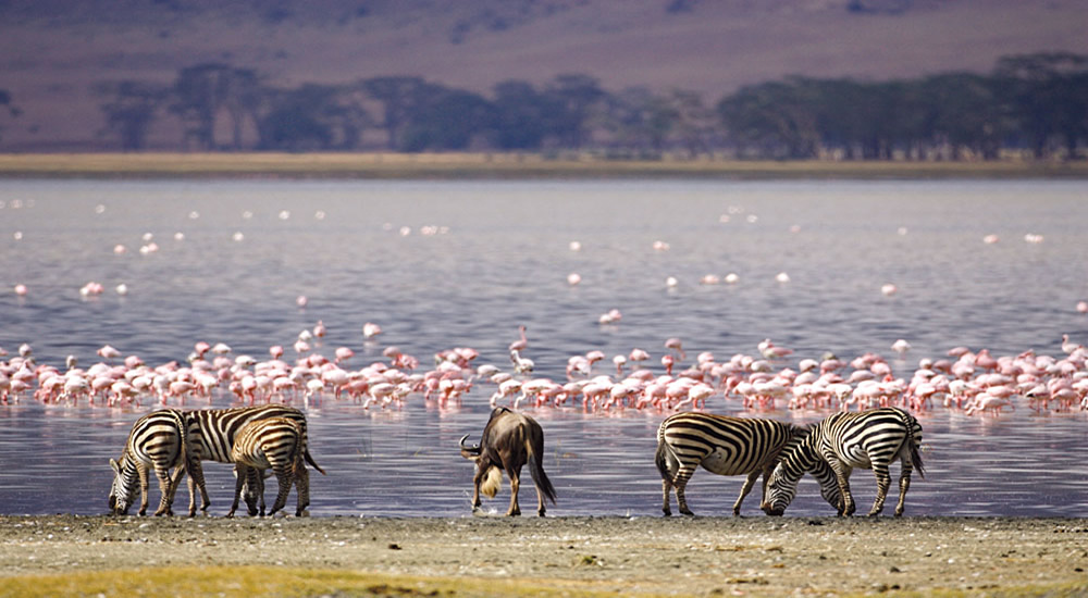 Lake Naivasha National Park
