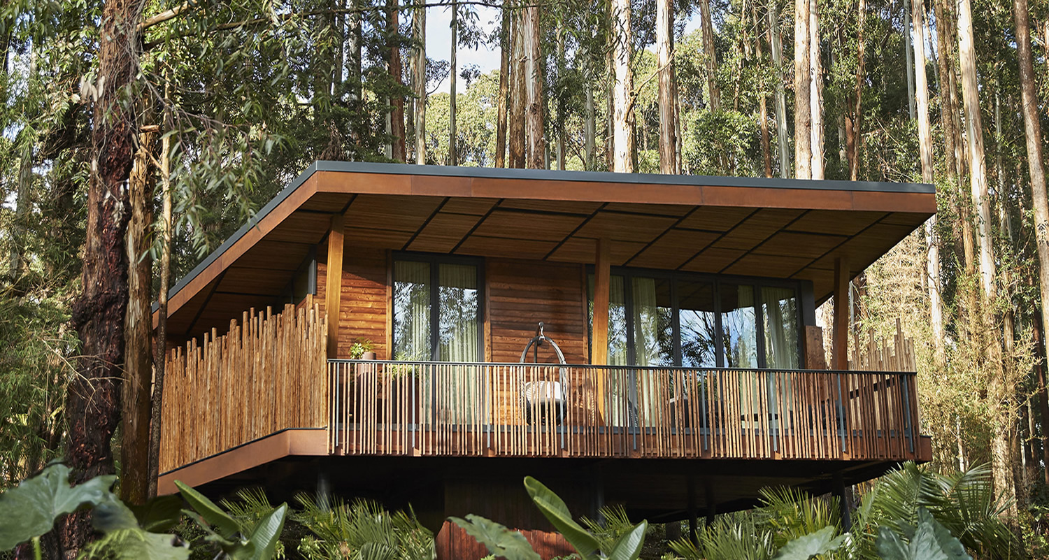 One&Only Gorilla's Nest