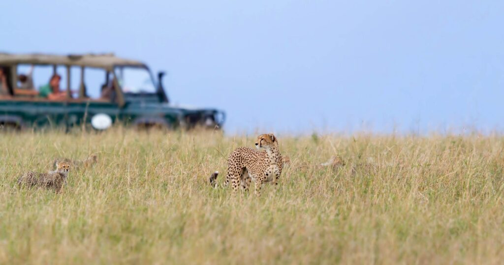 Maasai Mara National Reserve -Kenya safaris, Masai Mara reserve