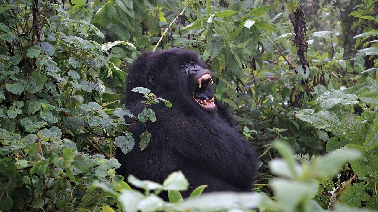 Rwanda
