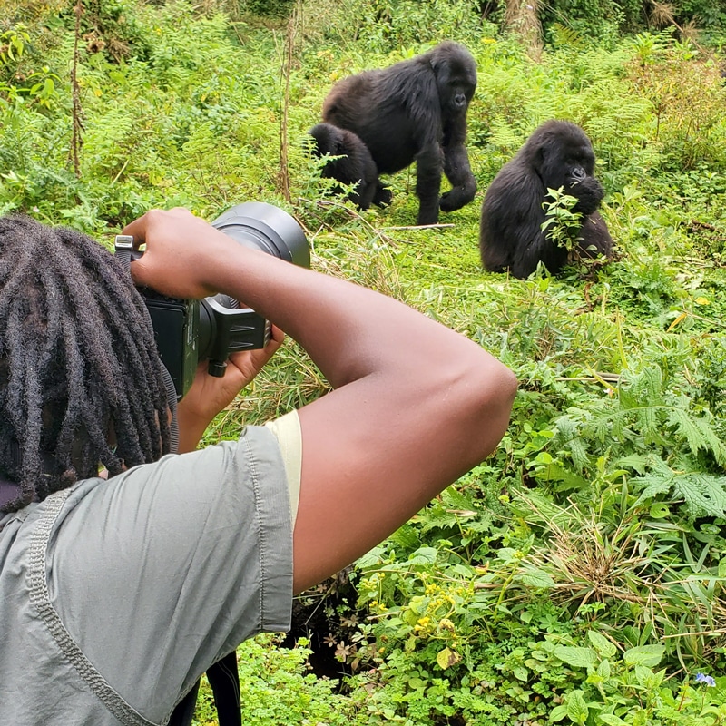 Premium Africa Safaris