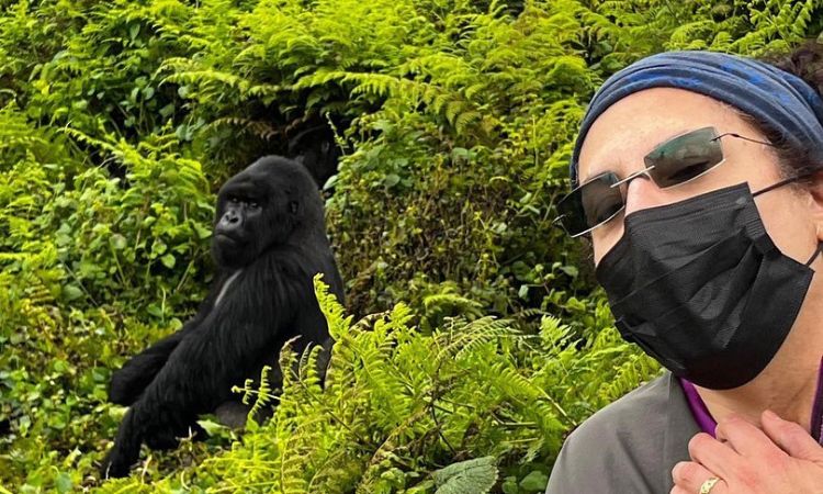 Gorilla trekking safaris