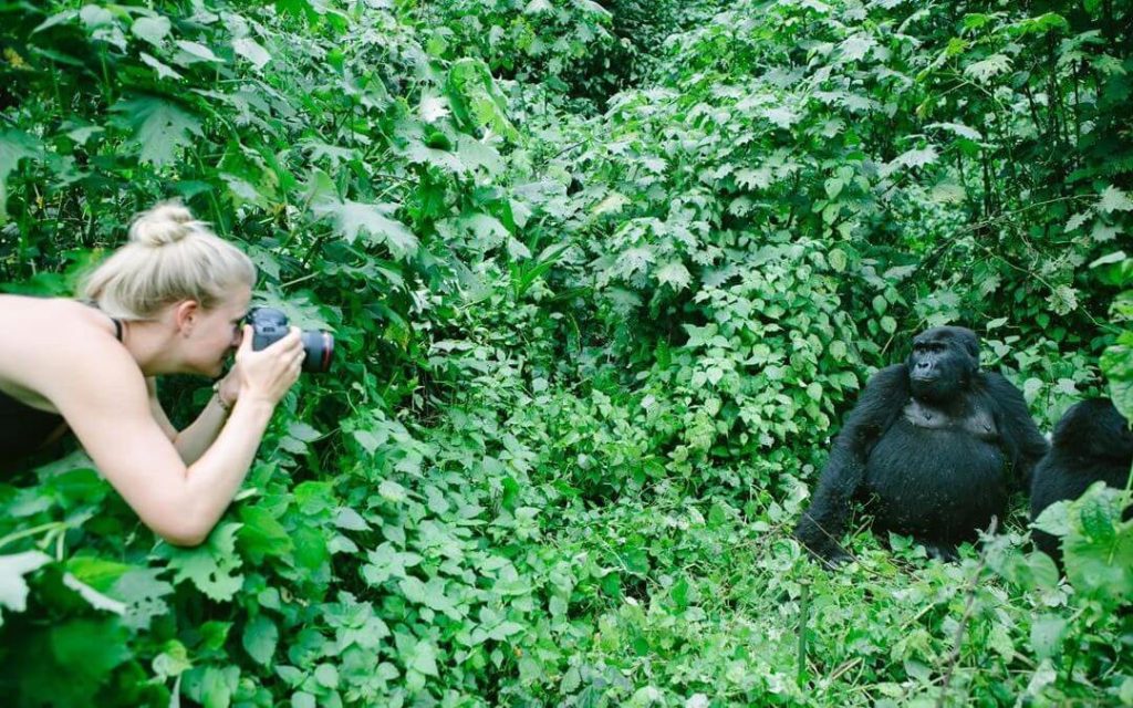 7 Days Uganda Safari to enjoy a Tailor-Made Uganda Wildlife Tour Package