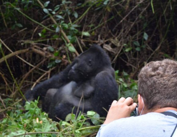 Uganda Gorilla Safaris in March