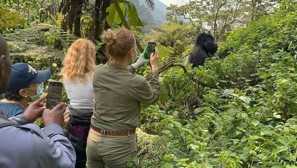 Uganda Gorilla safaris in May with Discounted gorilla trekking offers
