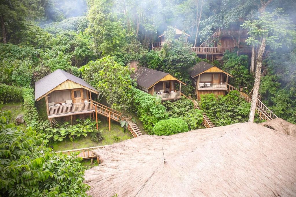 Gorilla Trekking in Bwindi Impenetrable Forest –Updated Guide