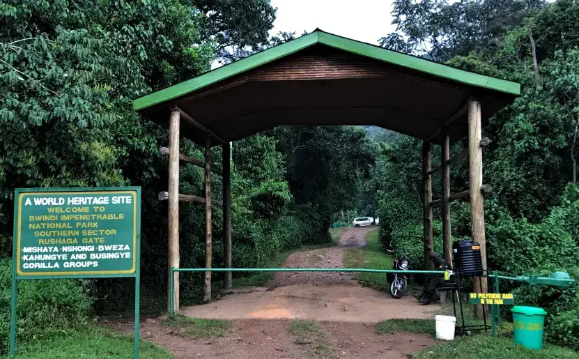 Gorilla Trekking in Bwindi Impenetrable Forest