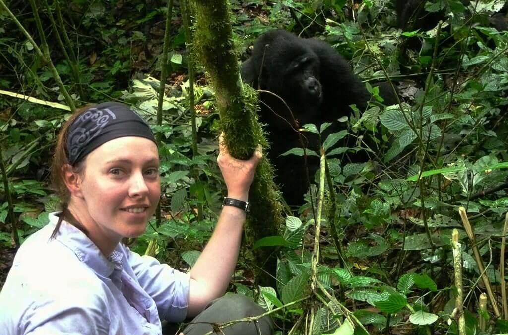 Uganda Gorilla Safaris in June, the Best Time to Visit Uganda Gorillas