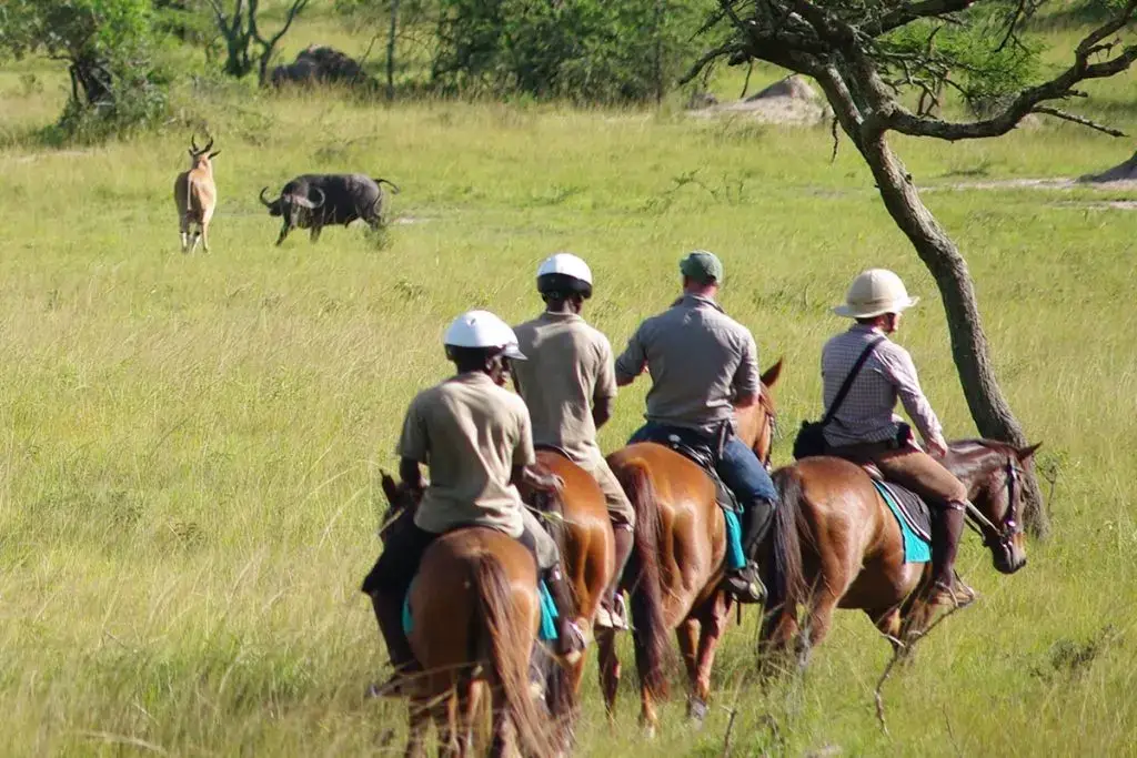 Wildlife Tours in Lake Mburo