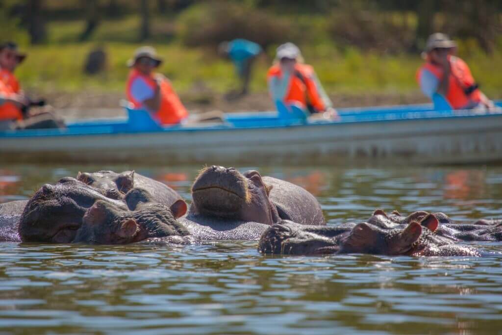 3 Days Lake Naivasha Tour