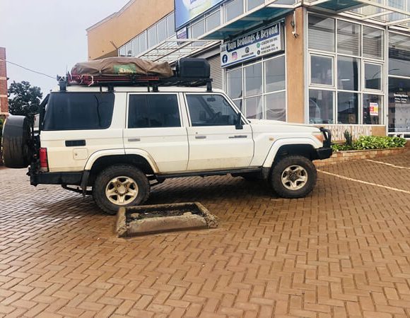 Car Hire for Gorilla Safaris