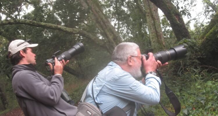 Birding Safaris in Semuliki National Park