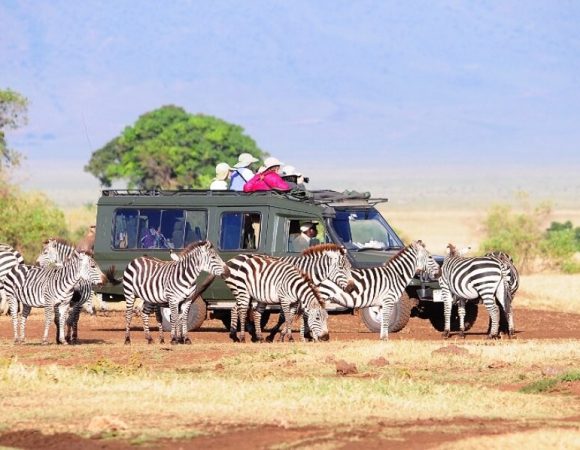 Does Visitor Budget Matter When Booking a Safari?