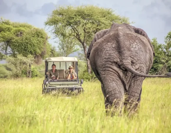 Cheap Tour Packages in Uganda