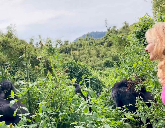 Rwanda Extends Discounted Gorilla Trekking Permits