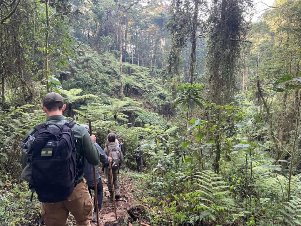 Buhoma Gorilla Trekking Tours from Entebbe