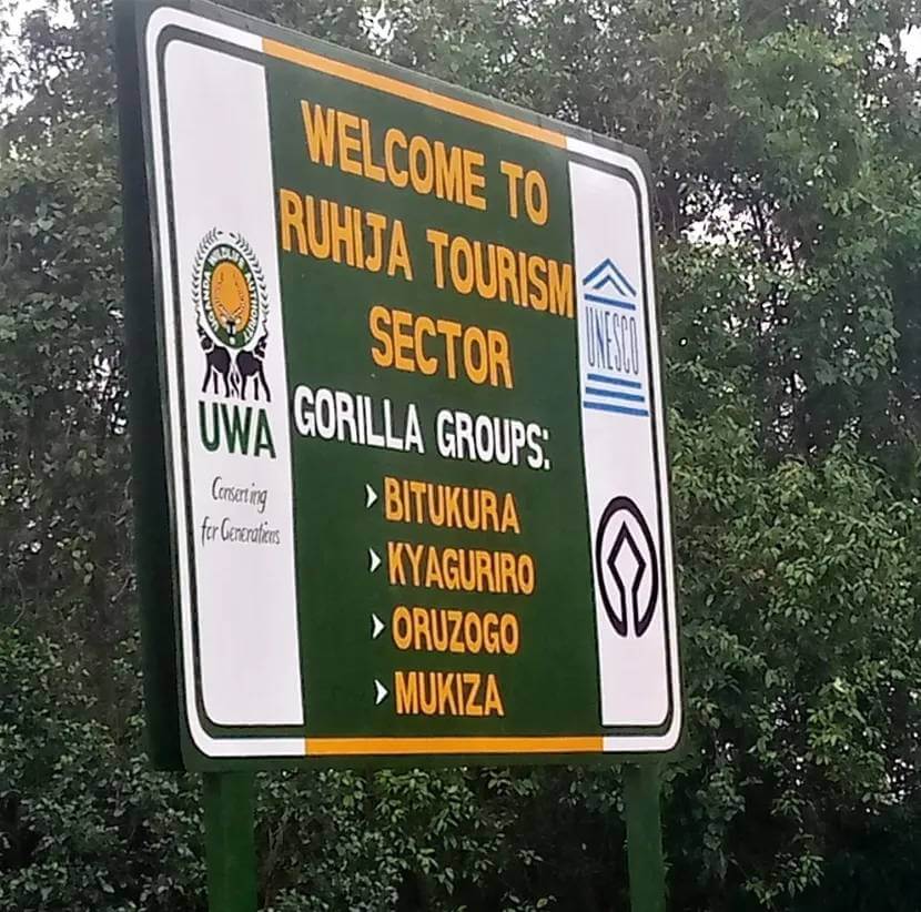 Ruhija Gorilla Trekking Tours from Entebbe