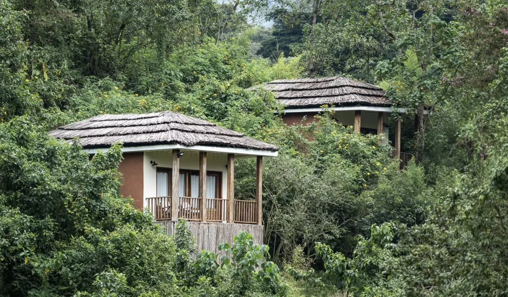 Midrange Lodges in Bwindi Impenetrable National Park best for gorilla trekking safaris and tours