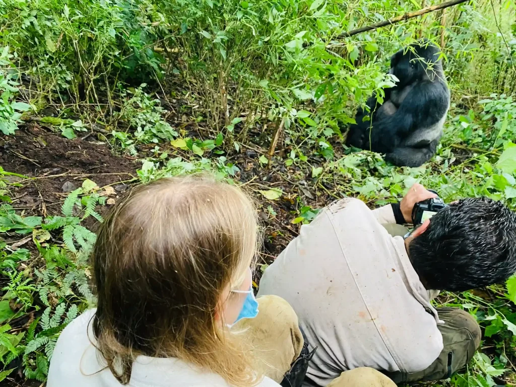 Best Gorilla Tours in Rwanda –Africa Safaris & Tour Packages 2026