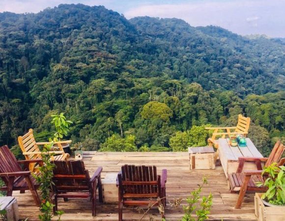 Bwindi Gorilla Trekking From Kigali