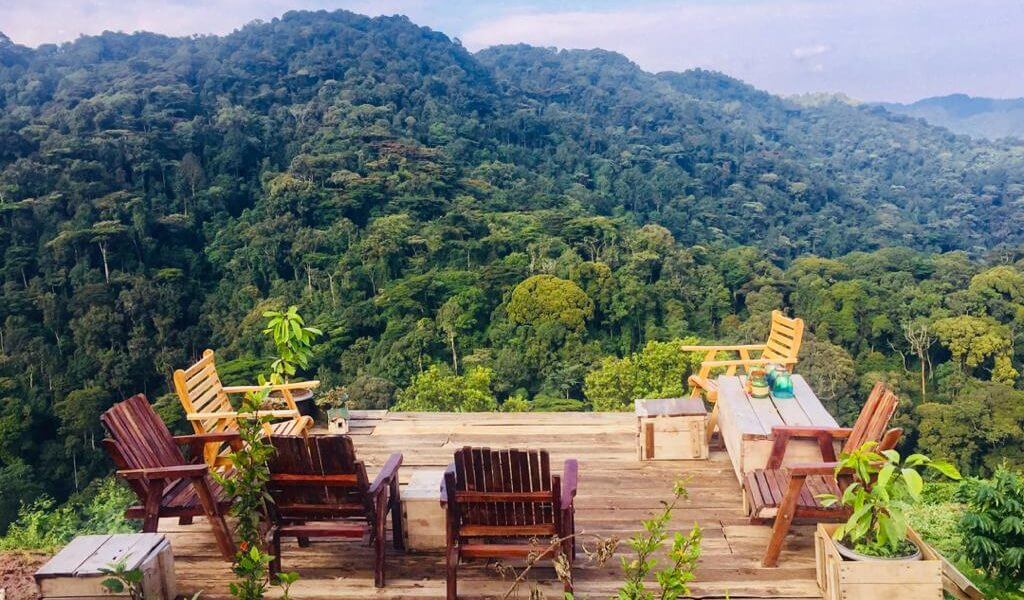 Bwindi Gorilla Trekking From Kigali