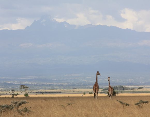 12 Best National Parks in Kenya