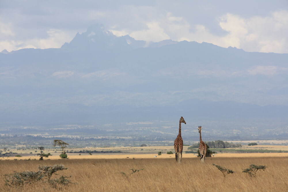 12 Best National Parks in Kenya