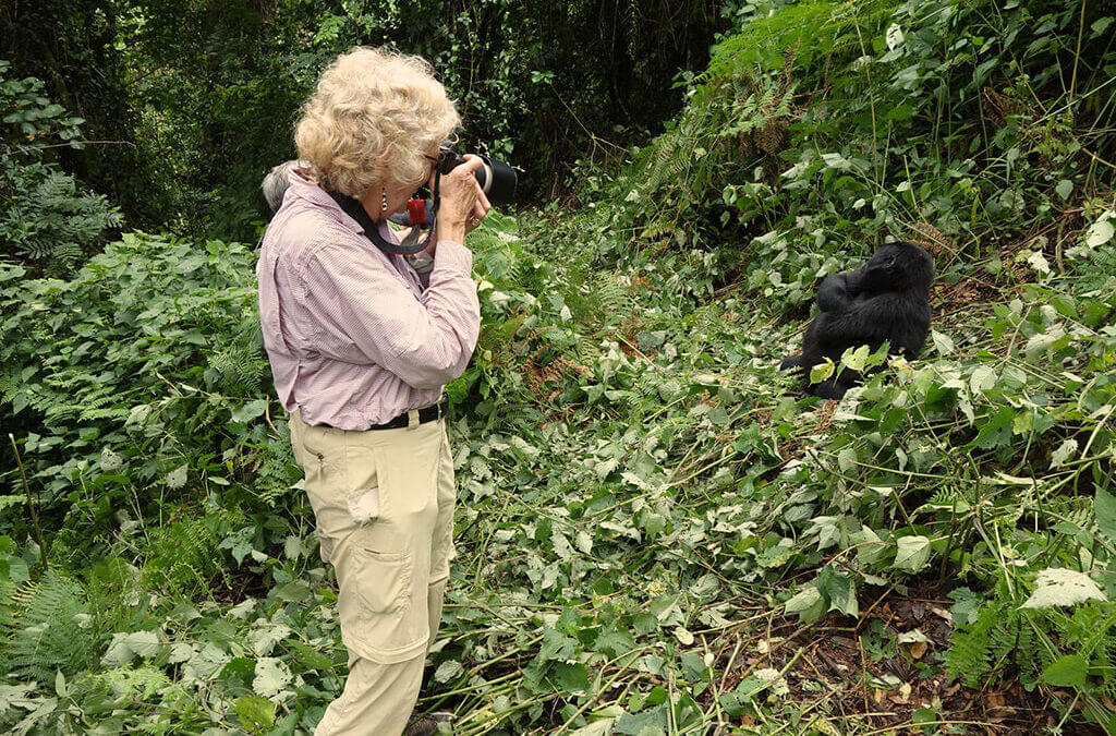 Gorilla Trekking in Buhoma Vs Rushaga