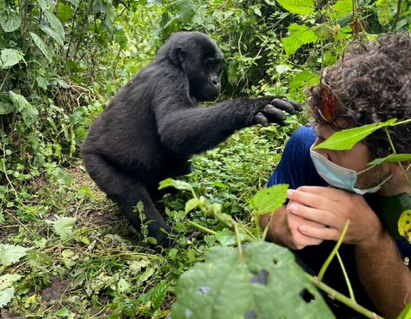 5 Best Activities to do in Bwindi