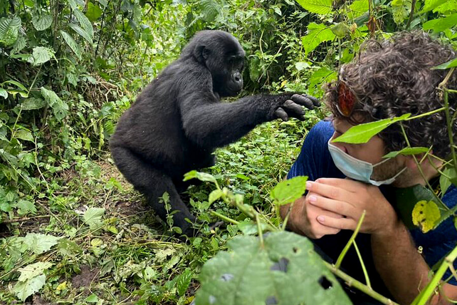 5 Best Activities to do in Bwindi