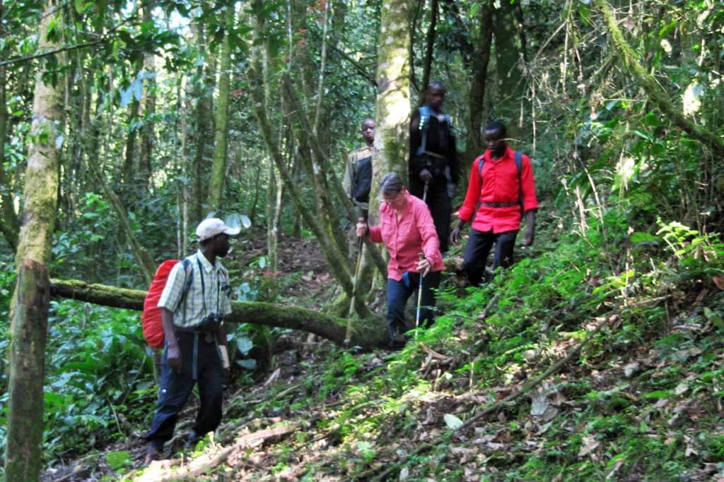 Bwindi gorilla trekking difficulty levels by sector or region