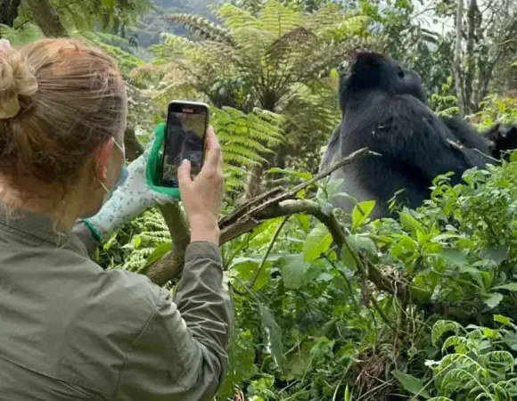 Uganda Gorilla Trekking from Chicago