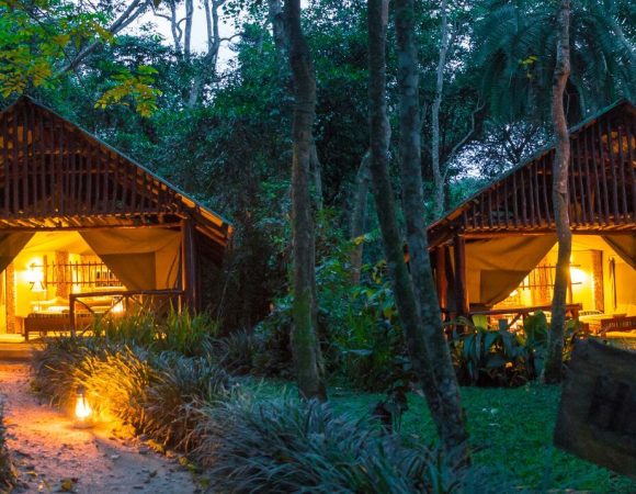 Best 10 Lodges in Kibale National Park