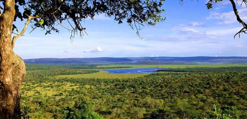 Best Walking Safari Tours in Lake Mburo