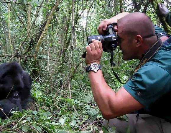Best Gorilla Photography Safaris