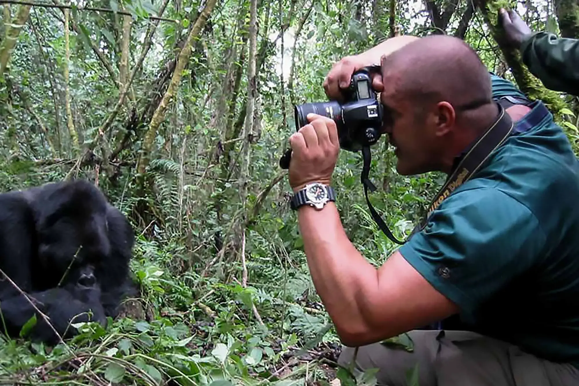 Best Gorilla Photography Safaris