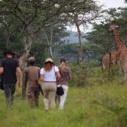Nature walking safaris in Lake Mburo National Park