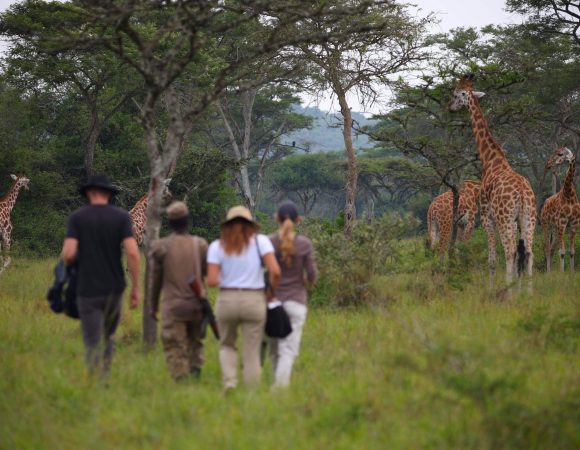 Best Walking Safaris in Lake Mburo National Park