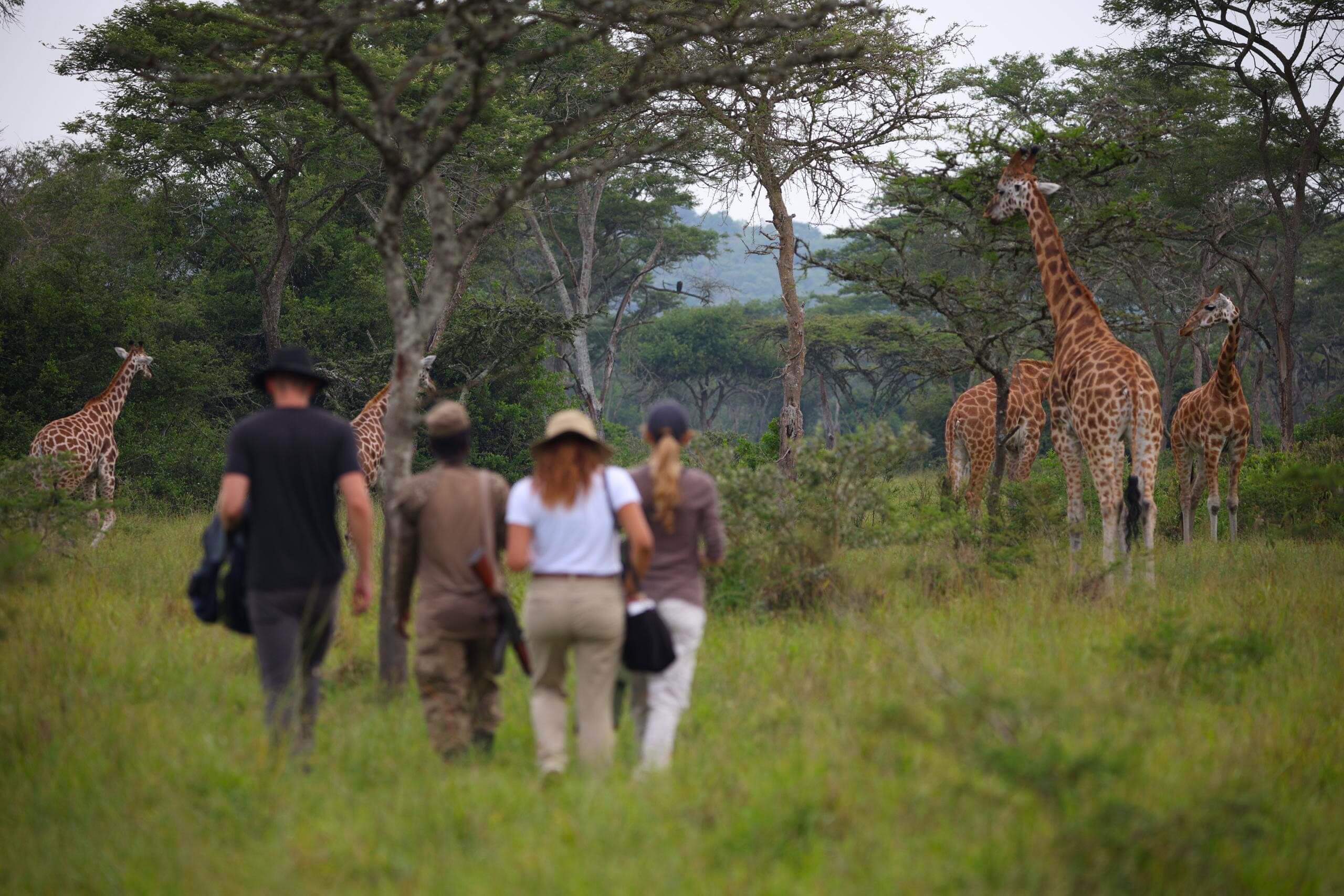 Best Walking Safaris in Lake Mburo National Park