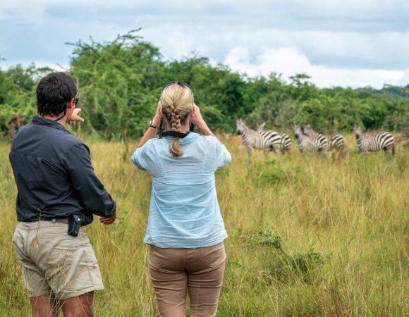 Walking Safaris in Akagera