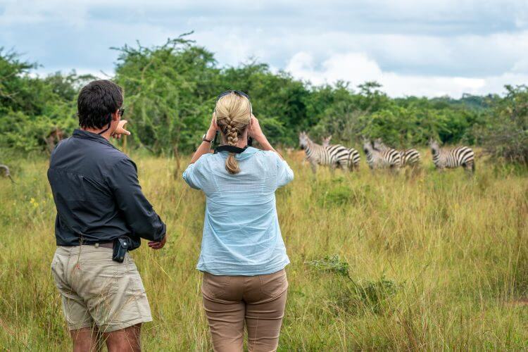 Walking Safaris in Akagera