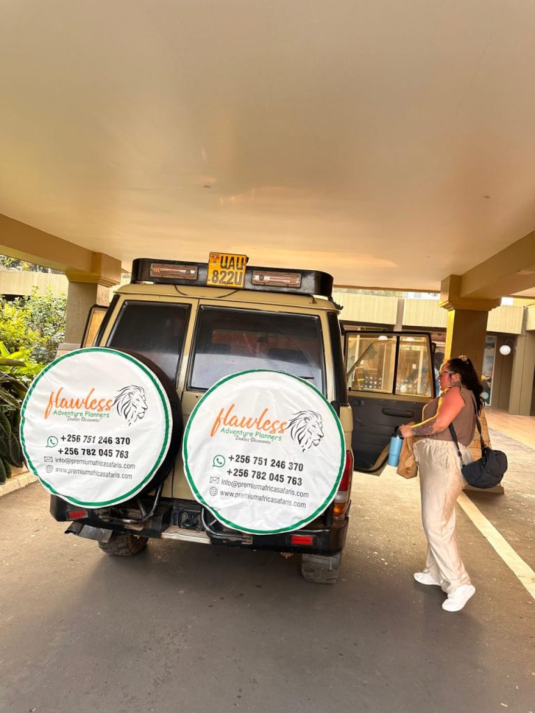 Become a Travel Agent with Flawless Adventure Planners