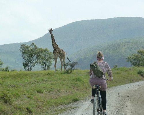 Best Cycling Safaris in East Africa