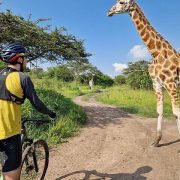 Top Safari Activities in Lake Mburo Game Park