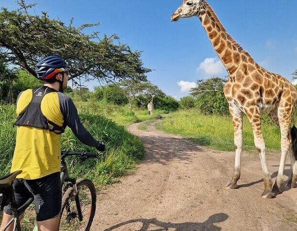Top Safari Activities in Lake Mburo