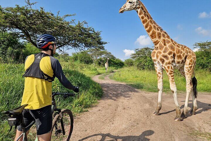 Top Safari Activities in Lake Mburo