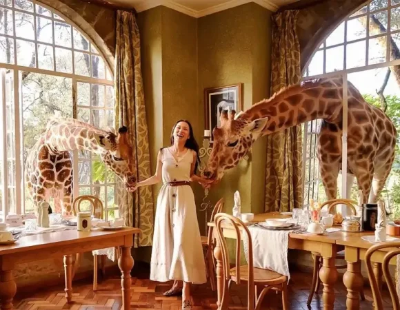 Giraffe Centre